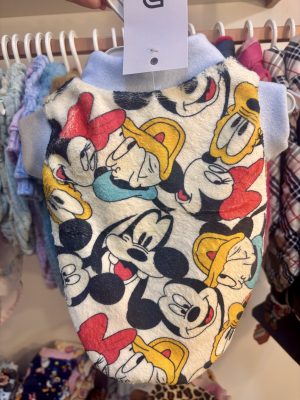 Fleece Mickey